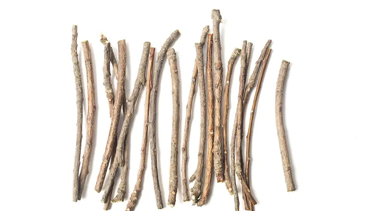 How To Reverse Tooth Decay