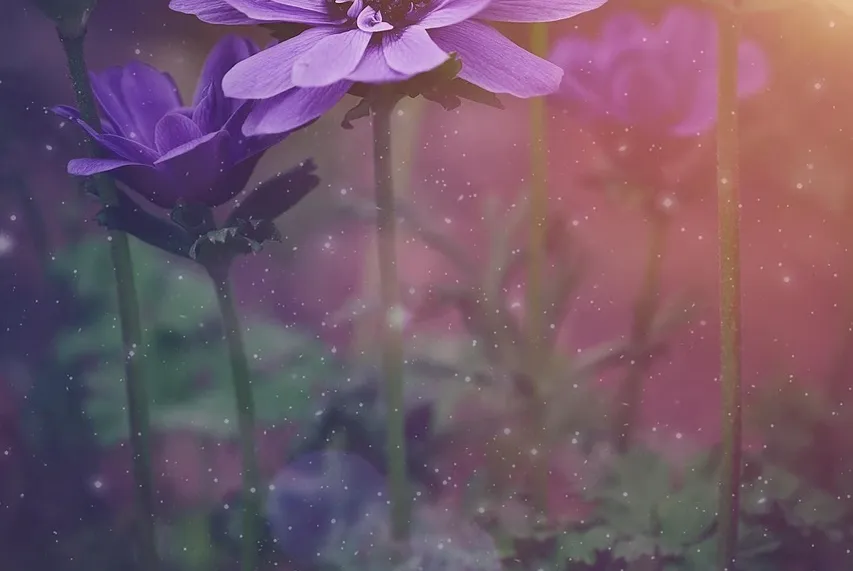 Landscaping ideas with flowers