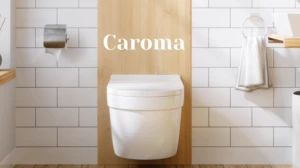 How To Fix A Leaking Caroma Dual Flush Toilet Cistern?