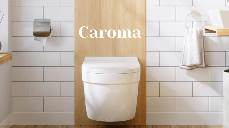 5 Tips How To Fix A Leaking Caroma Dual Flush Toilet Cistern