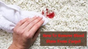 How To Remove Blood Stain From Carpet?