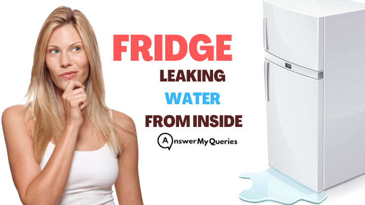 Fridge Leaking Water From Inside