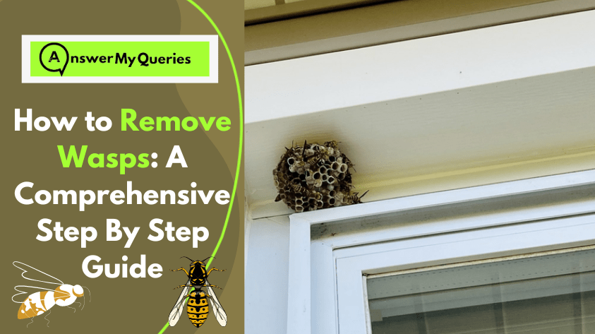 How to Remove Wasps